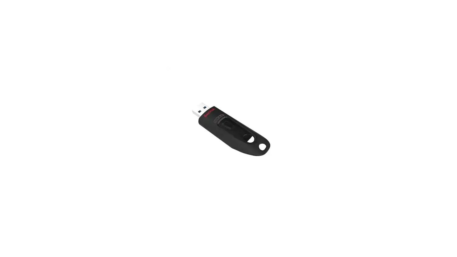 SanDisk 256GB